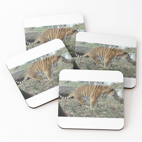 Item preview, Tiger Needing A Moment designed and sold by LovesAnimals.