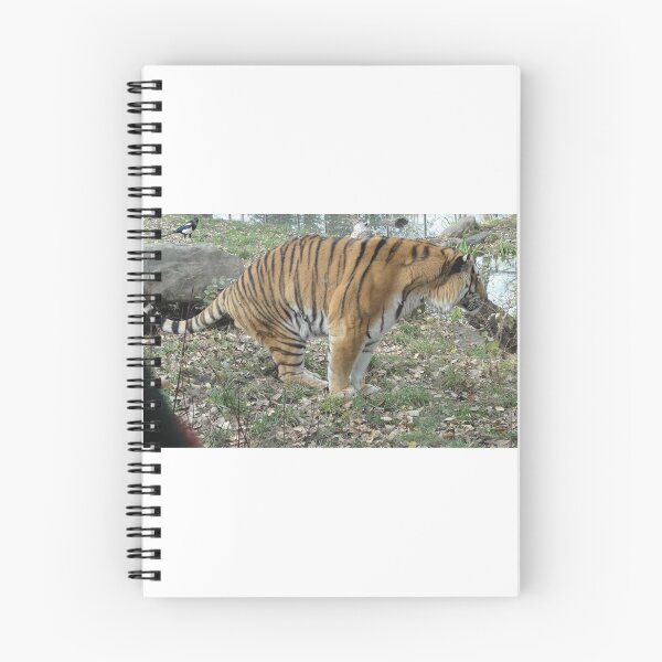 Item preview, Tiger Needing A Moment designed and sold by LovesAnimals.