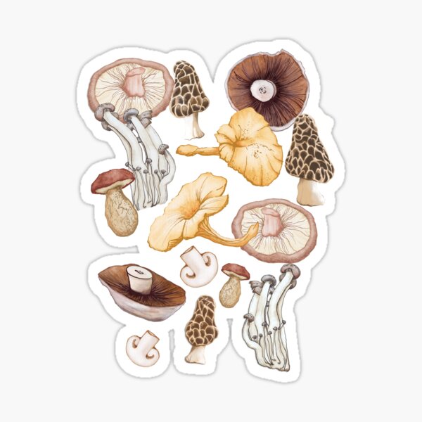 Mushroom Lovers Pattern Sticker
