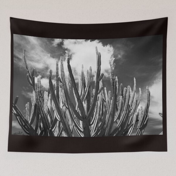 Item preview, Tall green candelabra cactus  designed and sold by Brian Scantlebury.