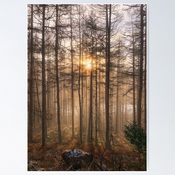Highland Light Poster