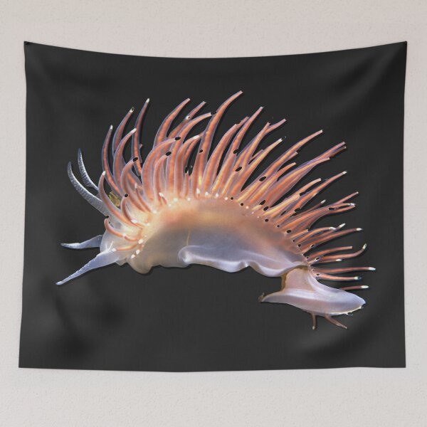 Item preview, Kawaii SeaBunny (Nudibranch) - White Lion designed and sold by miTeless seDign.