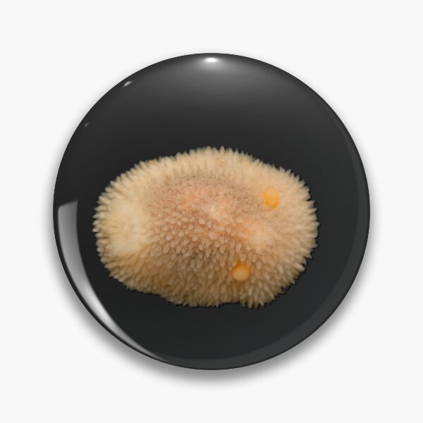 Item preview, Kawaii SeaBunny (Nudibranch) - Puff Pastry designed and sold by miTeless seDign.