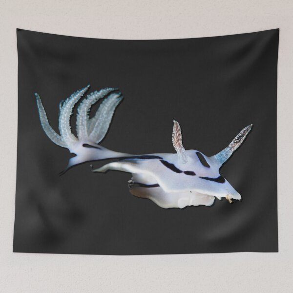Item preview, Kawaii SeaBunny (Nudibranch) - White Racer designed and sold by miTeless seDign.