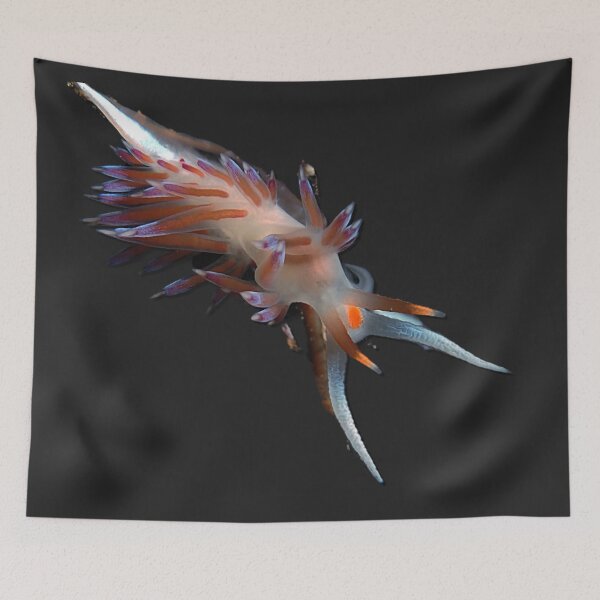 Item preview, Kawaii SeaBunny (Nudibranch) - Mantis designed and sold by miTeless seDign.