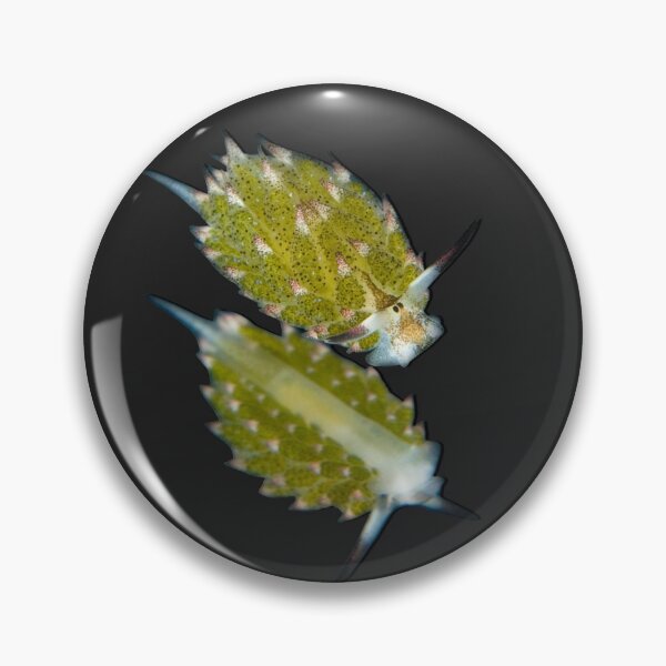 Item preview, Kawaii SeaBunny (Nudibranch) - Green Twins designed and sold by miTeless seDign.