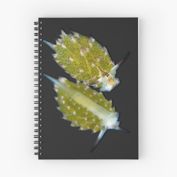Item preview, Kawaii SeaBunny (Nudibranch) - Green Twins designed and sold by miTeless seDign.