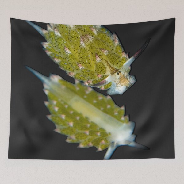 Item preview, Kawaii SeaBunny (Nudibranch) - Green Twins designed and sold by miTeless seDign.