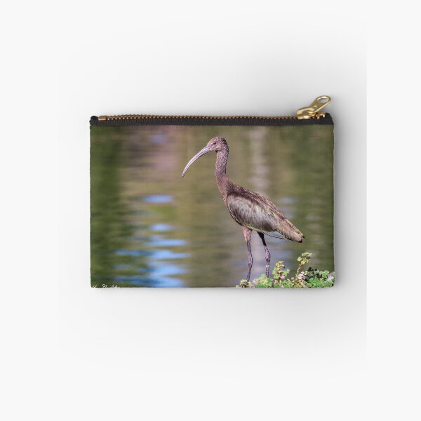 Item preview, White-Faced Ibis With Non-Breeding Plumage designed and sold by Jeff Goulden Photography.