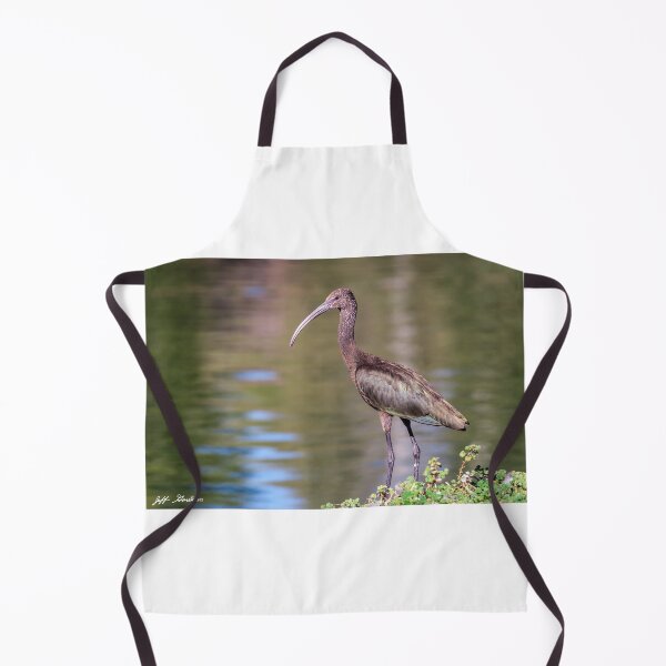 Item preview, White-Faced Ibis With Non-Breeding Plumage designed and sold by Jeff Goulden Photography.