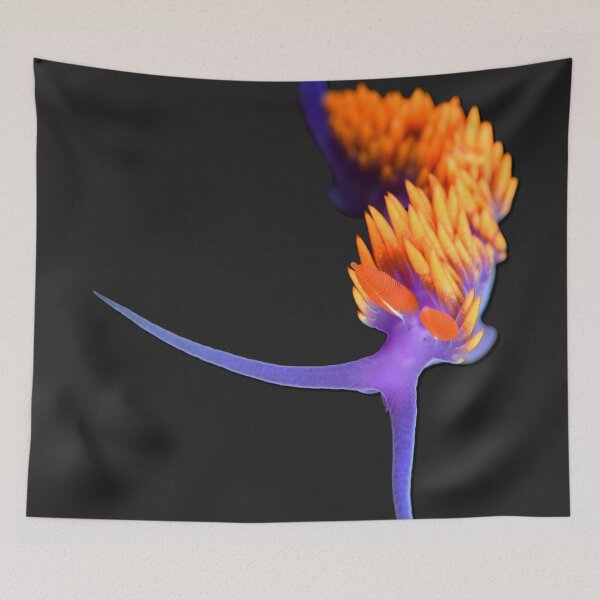 Item preview, Kawaii SeaBunny (Nudibranch) - Fire Breeze designed and sold by miTeless seDign.