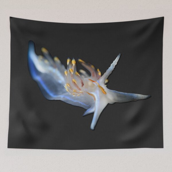 Item preview, Kawaii SeaBunny (Nudibranch) - Ghost designed and sold by miTeless seDign.
