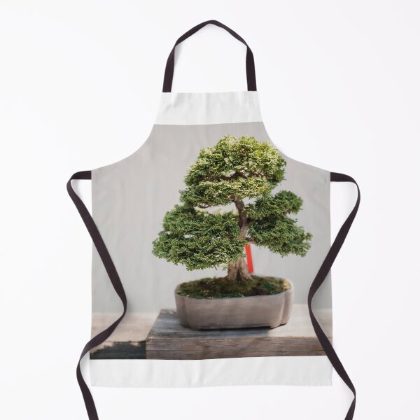 Item preview, Zen Bonsai Chinese Elm Tree, Bonsai Plant designed and sold by newburyboutique.