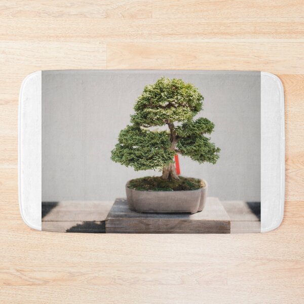 Item preview, Zen Bonsai Chinese Elm Tree, Bonsai Plant designed and sold by newburyboutique.