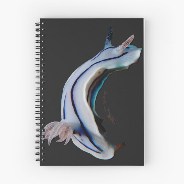 Item preview, Kawaii SeaBunny (Nudibranch) - Striped Night designed and sold by miTeless seDign.