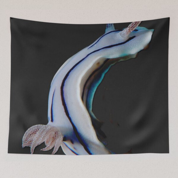 Item preview, Kawaii SeaBunny (Nudibranch) - Striped Night designed and sold by miTeless seDign.