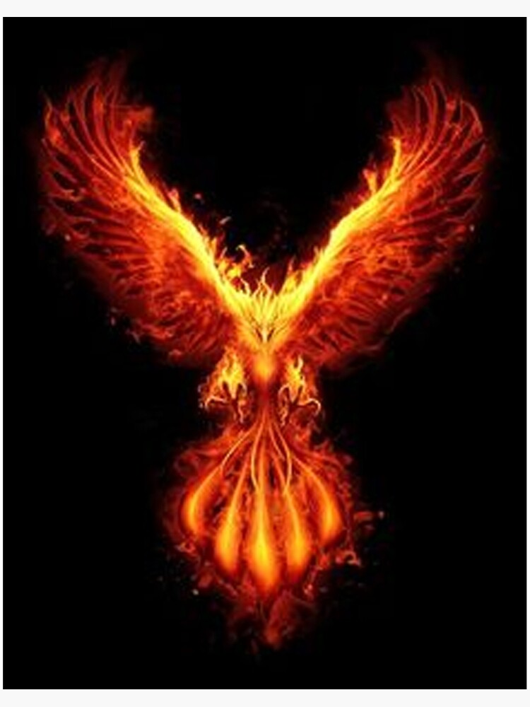 Rising Phoenix | Art Board Print