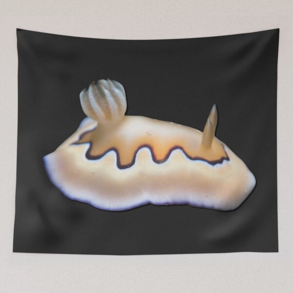 Item preview, Kawaii SeaBunny (Nudibranch) - Cloud Nine designed and sold by miTeless seDign.