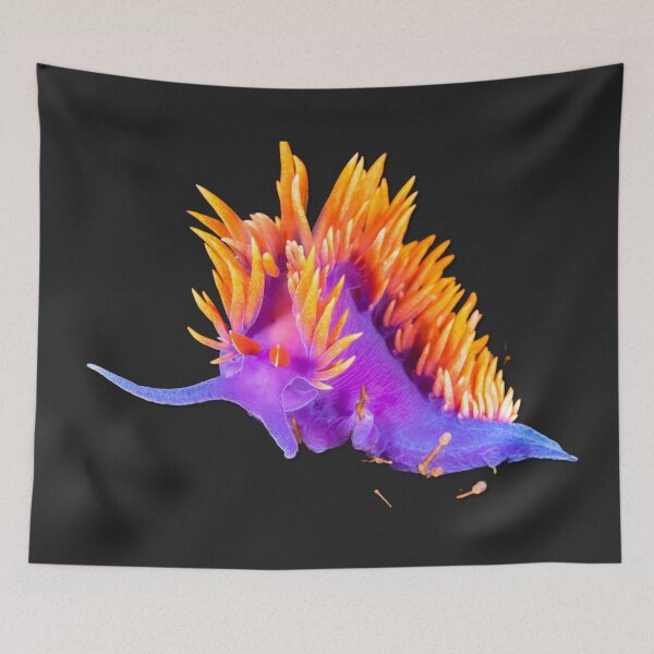 Item preview, Kawaii SeaBunny (Nudibranch) - Fire Hill designed and sold by miTeless seDign.
