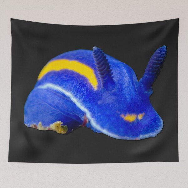Item preview, Kawaii SeaBunny (Nudibranch) - Blue Racer designed and sold by miTeless seDign.