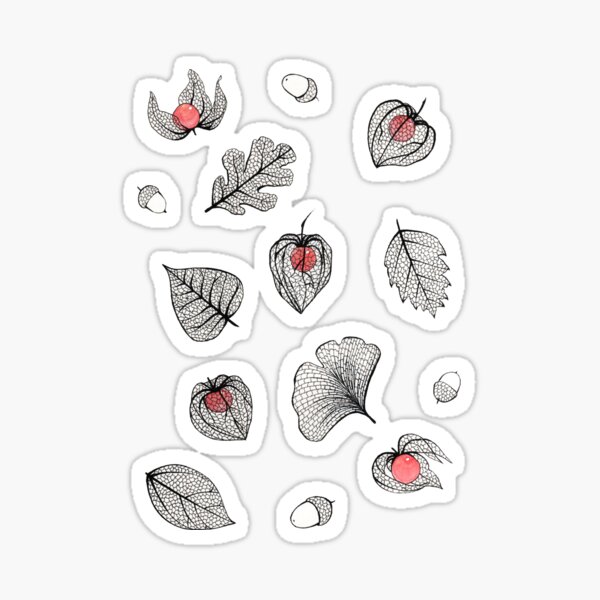 Red Physalis and skeleton leaves Sticker