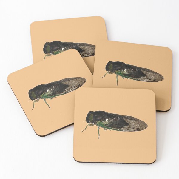 Item preview, cicada  designed and sold by laceyyyann34.