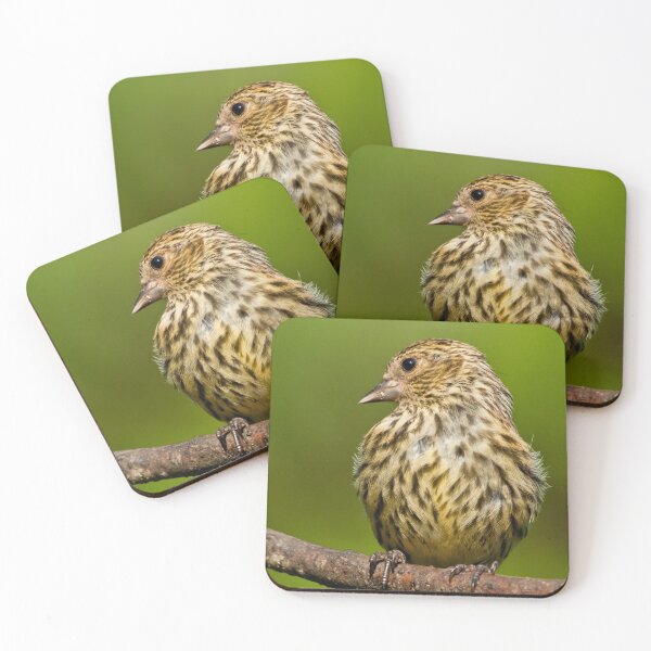 Item preview, Pine Siskin With Yellow Coloration designed and sold by Jeff Goulden Photography.