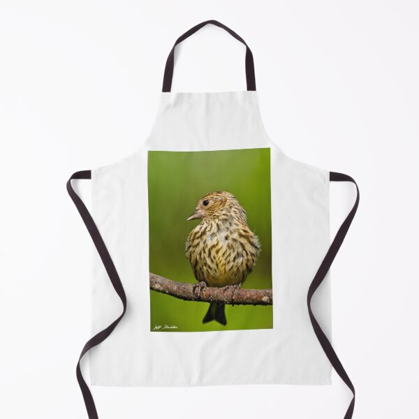 Item preview, Pine Siskin With Yellow Coloration designed and sold by Jeff Goulden Photography.