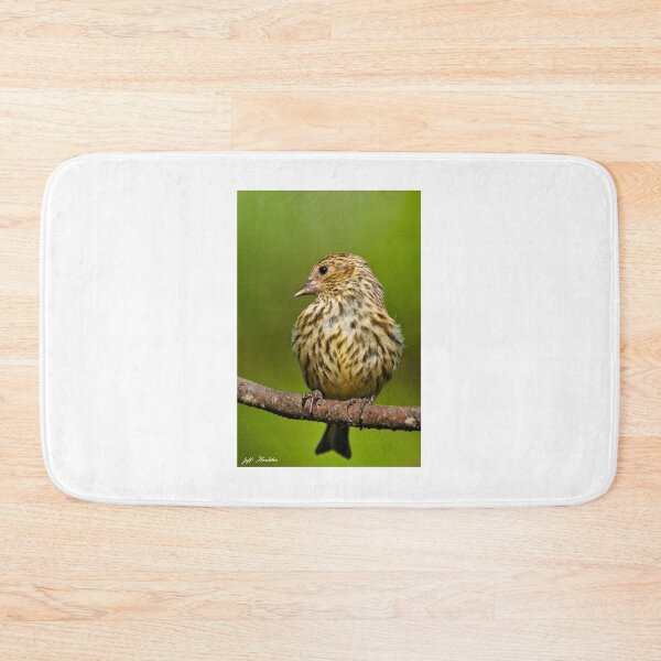 Item preview, Pine Siskin With Yellow Coloration designed and sold by Jeff Goulden Photography.