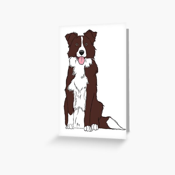 Border Collie Christmas Cards Set of 10 cards & 10 envelopes 