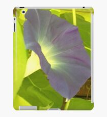 Morning Glory1 by bs hilton iPad Case/Skin