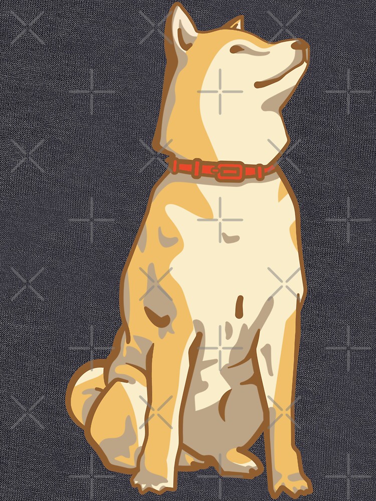 Shiba Inu de blickwandler