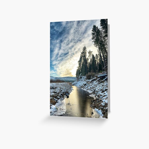 Chasing the Winter Sun Greeting Card