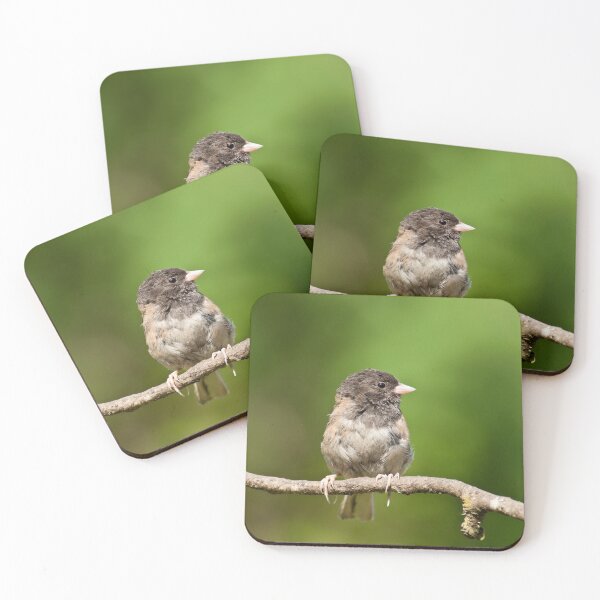 Item preview, Dark Eyed Junco designed and sold by Jeff Goulden Photography.