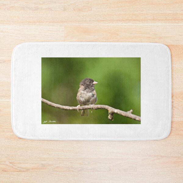 Item preview, Dark Eyed Junco designed and sold by Jeff Goulden Photography.