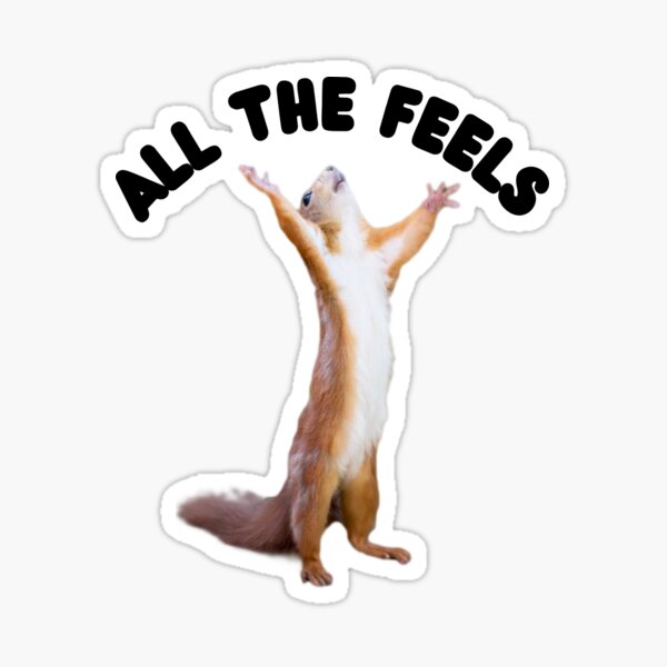 Item preview, Écureuil All the Feels designed and sold by CounselorsRUs.