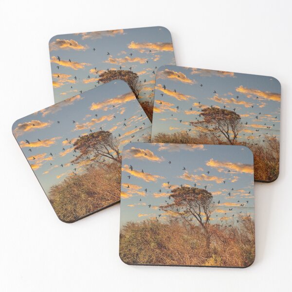 Item preview, Coastal Trees and Shrubs designed and sold by dbvirago.