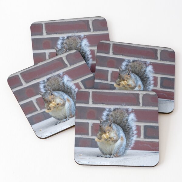 Item preview, Squirrel eating an ice cream cone designed and sold by blb1014.