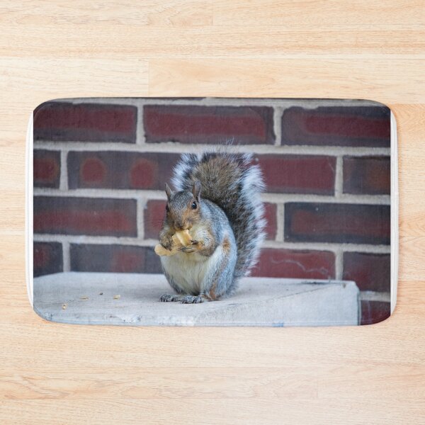 Item preview, Squirrel eating an ice cream cone designed and sold by blb1014.