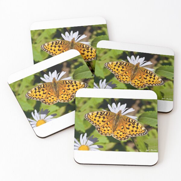 Item preview, Pearl Border Fritillary Butterfly on an Aster Bloom designed and sold by Jeff Goulden Photography.