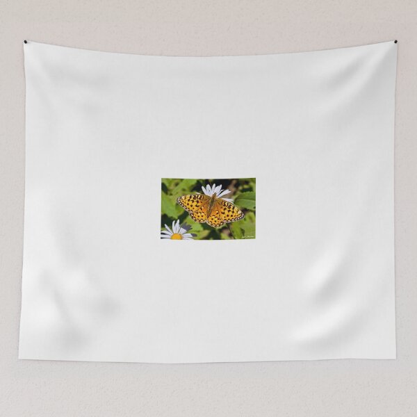 Item preview, Pearl Border Fritillary Butterfly on an Aster Bloom designed and sold by Jeff Goulden Photography.