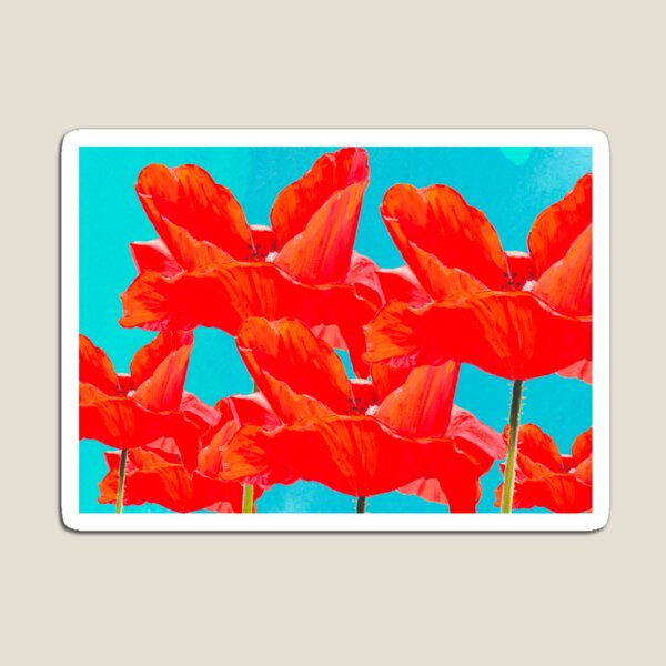 Painted Poppies Magnet
