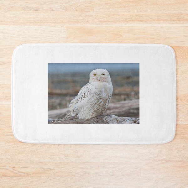 Item preview, Snowy Owl Watching from a Driftwood Perch designed and sold by Jeff Goulden Photography.