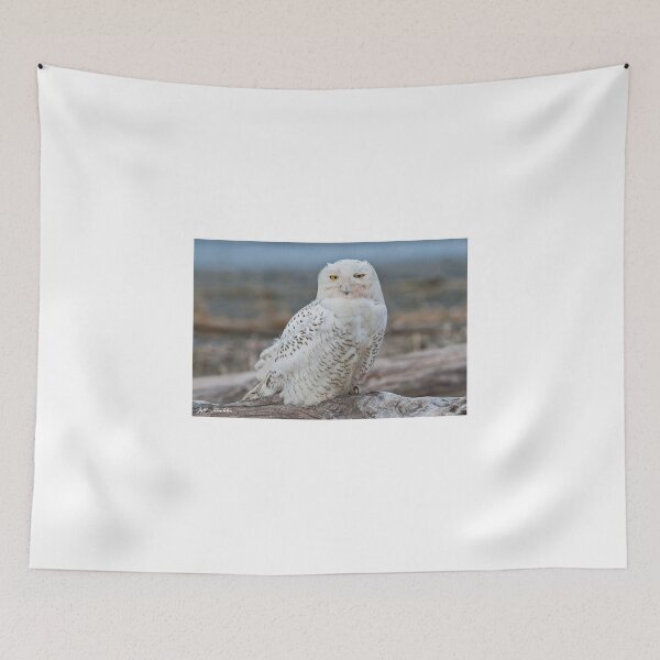 Item preview, Snowy Owl Watching from a Driftwood Perch designed and sold by Jeff Goulden Photography.