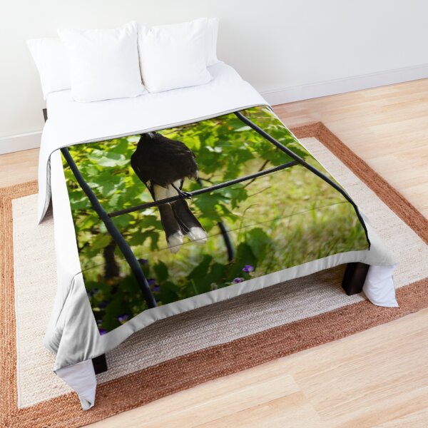 Pied Currawong, Australian bird Comforter