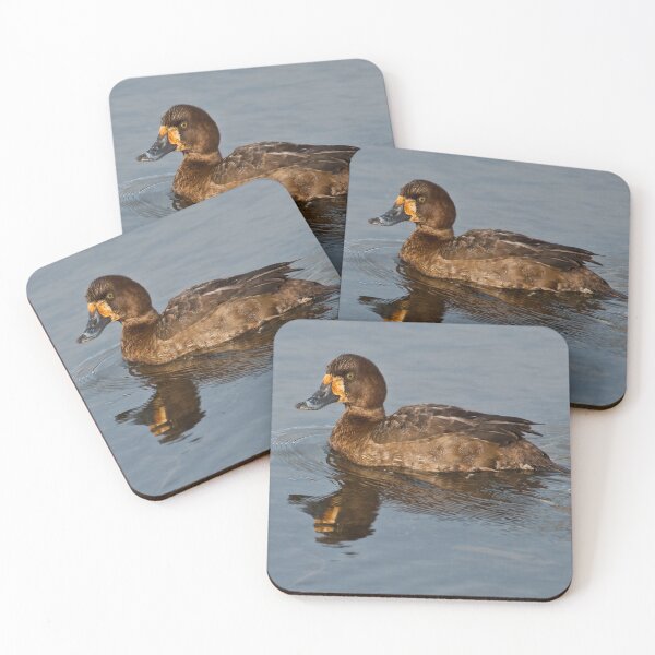 Item preview, Female Greater Scaup designed and sold by Jeff Goulden Photography.