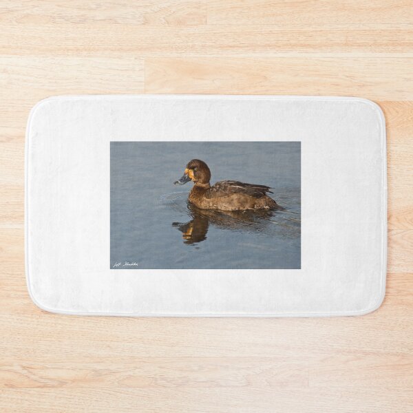 Item preview, Female Greater Scaup designed and sold by Jeff Goulden Photography.