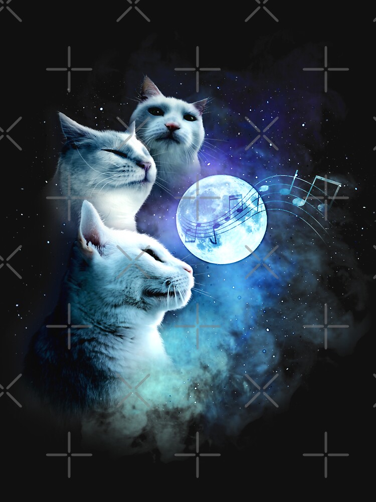 Galaxy Space Pizza Cat DJ Decks Pussy Cat Kitten Cute Funny 