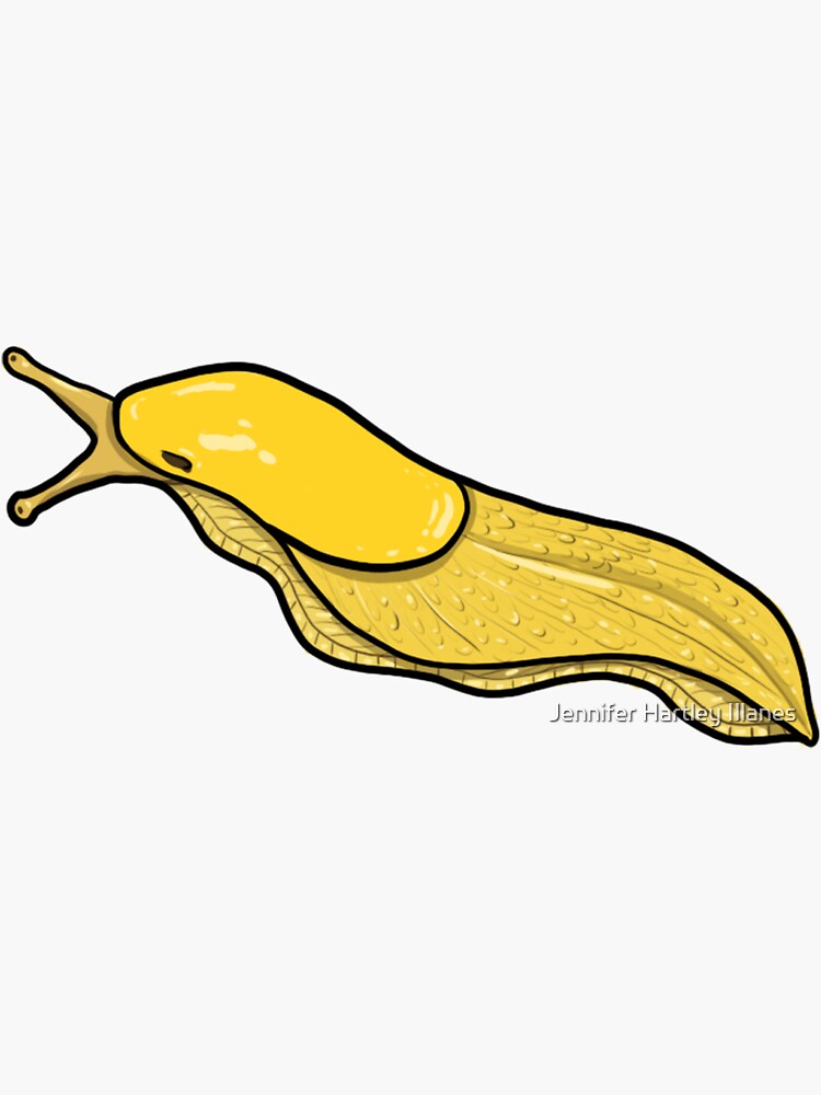 banana slug Sticker