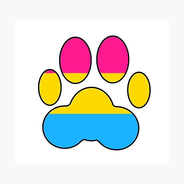 Lgbt Pride Paws Pansexual Photographic Print For Sale By Echoskyart